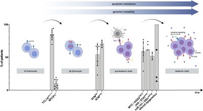 Advanced Pathogenetic Concepts in T-Cell Prolymphocytic Leukemia and Their Translational Impact